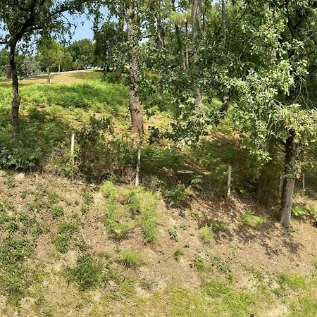 Апартаменты Egoitza Dans Les Pins Guethary Сен-Жан-де-Люз